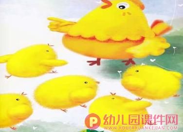 小班科学活动课件PPT《鸡蛋和鸭蛋》PPT课件图片