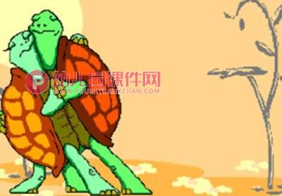 小班科学课件PPT《小乌龟》PPT课件图片