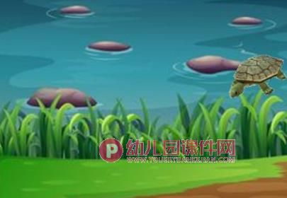 小班科学课件PPT《小乌龟》PPT课件图片