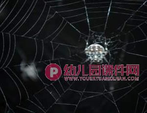小班科学课件PPT《动物的家》PPT课件图片