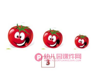 小班科学活动课件PPT《青菜奶奶过生日》PPT课件图片