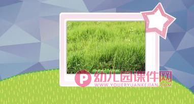 小班科学优质课课件PPT《春天来了》PPT课件图片