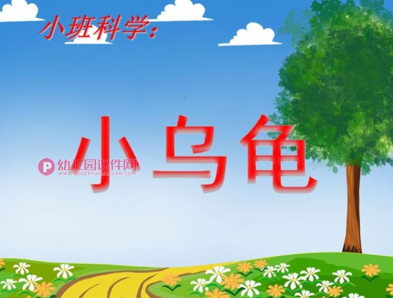 小班科学课件PPT《小乌龟》PPT课件图片