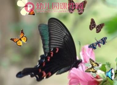 小班科学活动课件PPT《丑丑变美美》PPT课件音乐图片