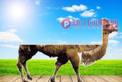 小班科学活动课件PPT《猜猜我是谁》PPT课件音频图片