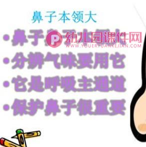小班科学活动课件PPT《鼻子本领大》PPT课件图片