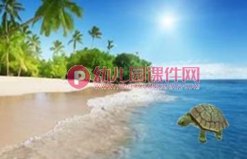 小班科学课件PPT《小乌龟》PPT课件图片