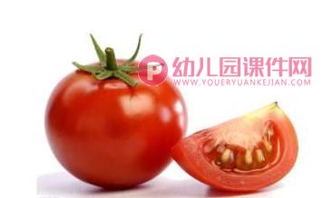 小班科学课件PPT《认识蔬菜》PPT课件图片
