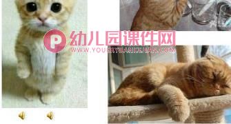 小班科学课件PPT《我们的家》PPT课件图片