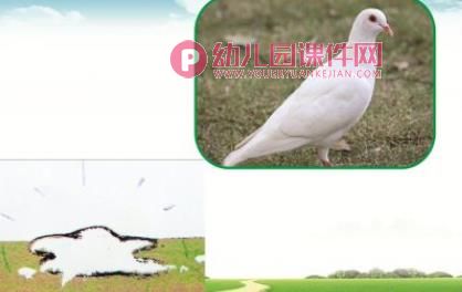 小班科学课件PPT《动物的嗯嗯》PPT课件图片