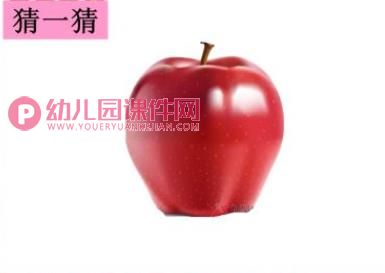 小班科学活动课件PPT《猜水果》PPT课件图片