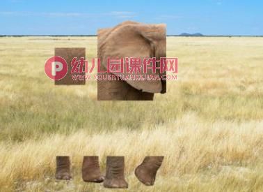 小班科学活动课件PPT《猜猜我是谁》PPT课件音频图片