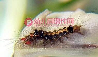 小班科学活动课件PPT《丑丑变美美》PPT课件音乐图片