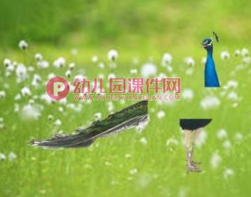 小班科学活动课件PPT《猜猜我是谁》PPT课件音频图片