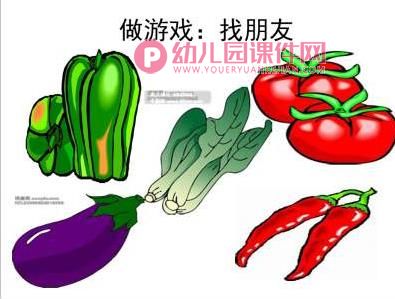 小班科学课件PPT《认识蔬菜》PPT课件图片