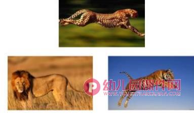 小班科学活动课件PPT《猜猜我是谁》PPT课件音频图片