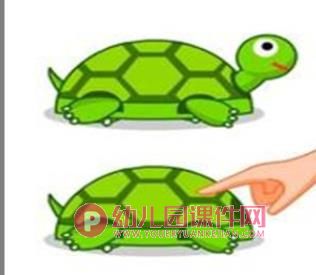 小班科学课件PPT《小乌龟》PPT课件图片