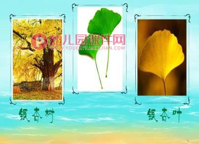 小班科学课件PPT《有趣的树叶》PPT课件图片