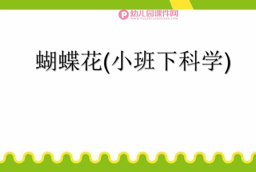 小班科学课件PPT《蝴蝶花》PPT课件图片