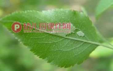 小班科学活动课件PPT《丑丑变美美》PPT课件音乐图片