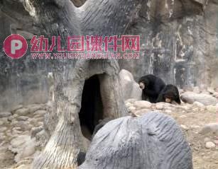 小班科学课件PPT《动物的家》PPT课件图片