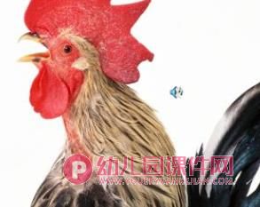 小班科学活动课件PPT《好听的声音》PPT课件音频图片