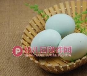 小班科学活动课件PPT《鸡蛋和鸭蛋》PPT课件图片