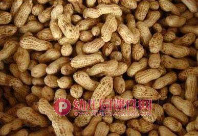 小班科学公开课课件PPT《好吃的花生》PPT课件图片