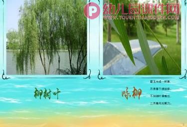 小班科学课件PPT《有趣的树叶》PPT课件图片