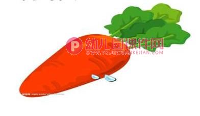 小班科学课件PPT《认识蔬菜》PPT课件图片