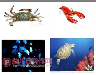 小班科学课件PPT《鱼儿鱼儿水中游》PPT课件图片