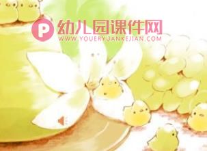 小班科学课件PPT《小鸡、小鸭不一样》PPT课件音乐音频图片