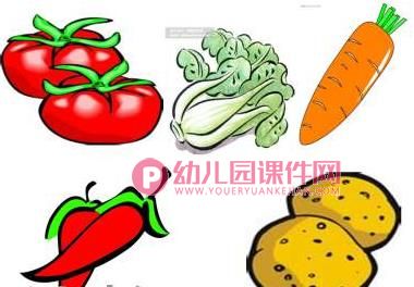 小班科学课件PPT《认识蔬菜》PPT课件图片