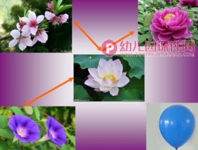 小班科学课件PPT《找朋友》PPT课件图片