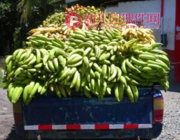 小班科学课件PPT《汽车开来了》PPT课件图片