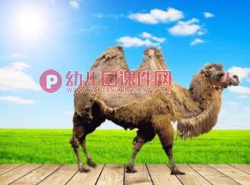 小班科学活动课件PPT《猜猜我是谁》PPT课件音频图片