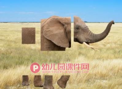 小班科学活动课件PPT《猜猜我是谁》PPT课件音频图片