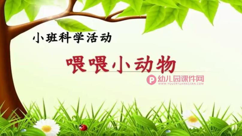 小班科学课件PPT《喂喂小动物》PPT课件图片