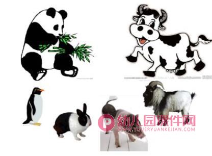 小班科学优质课课件PPT《动物花花衣》PPT课件图片