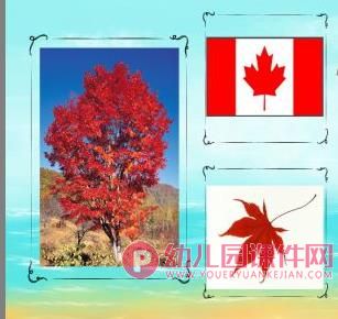 小班科学课件PPT《有趣的树叶》PPT课件图片