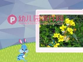 小班科学优质课课件PPT《春天来了》PPT课件图片