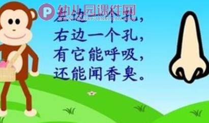 小班科学活动课件PPT《鼻子本领大》PPT课件图片