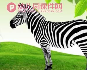 小班科学活动课件PPT《猜猜我是谁》PPT课件音频图片