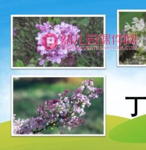 小班科学领域课件PPT《春天的花》PPT课件图片