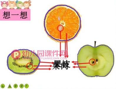 小班科学活动课件PPT《猜水果》PPT课件图片