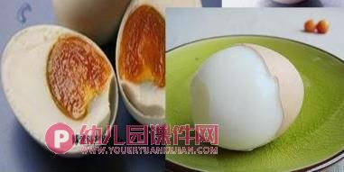 小班科学活动课件PPT《鸡蛋和鸭蛋》PPT课件图片