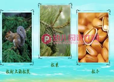 小班科学课件PPT《有趣的树叶》PPT课件图片