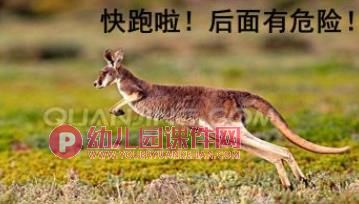 小班科学活动课件PPT《动物妈妈的袋子》PPT课件图片
