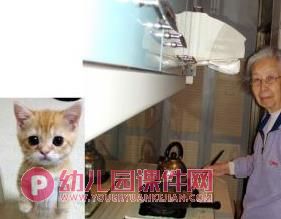 小班科学课件PPT《我们的家》PPT课件图片