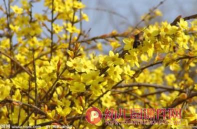 小班科学课件PPT《蝴蝶花》PPT课件图片